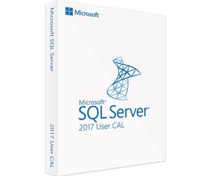 Microsoft SQL Server 2017 Standard - 1 User CAL