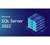 Microsoft SQL Server 2022