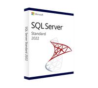 Microsoft SQL Server 2022 Standard - Clé licence à télécharger - Livraison rapide 7/7j