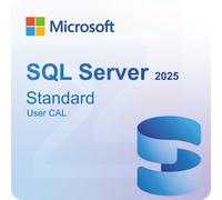 Microsoft SQL Server 2025 Standard 1 User CAL