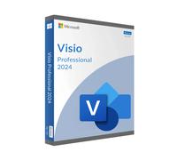 Microsoft Visio 2024 Professional für Windows