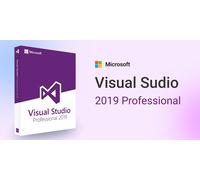 Microsoft Visual Studio 2019 Professional