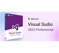Microsoft Visual Studio 2022 Professional
