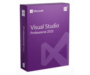 Microsoft Visual Studio 2022 Professional