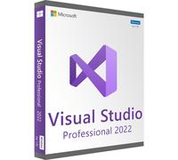 Microsoft Visual Studio 2022 Professionnel