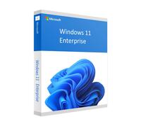 Microsoft Windows 11 Enterprise