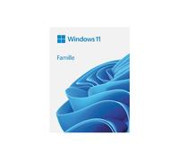 Microsoft Windows 11 Home 64bit (FR) DSP OEI DVD