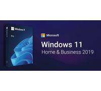 Microsoft Windows 11 Home and Business 2019