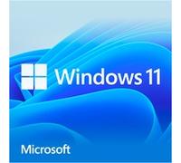 Windows 11 Home | FR | ESD | 64-Bit | Multilingual | Envoi éclair