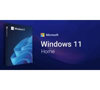 Microsoft Windows 11 Home OEM