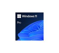 Microsoft Windows 11 Pro 1 Licence