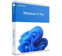 Microsoft Windows 11 Pro