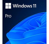 Microsoft Windows 11 Pro, 64 bits, anglais, OEM, DVD