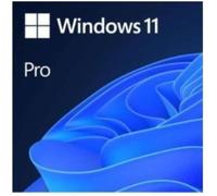 Microsoft Windows 11 Pro, Logiciel