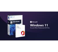 Microsoft Windows 11 Pro abd Office Professional 2019 Plus