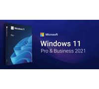 Microsoft Windows 11 Pro and Business 2021