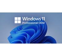 Microsoft Windows 11 Pro OEM