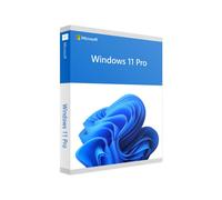 Microsoft Windows 11 Pro OEM