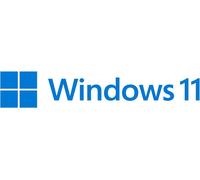 Microsoft Windows 11 Pro OEM - Équipementier (OEM) - 1 licence(s) - 64 Go - 4,1 To - 1000 GHz - néerlandais
