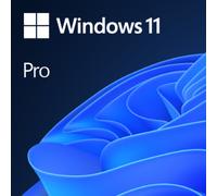 Microsoft Windows 11 Pro OEM, Fabricant d'équipement d'origine (OEM), Anglais, 1 licence(s), 64 Go, 4,1 To, 1000 GHz FQC-10528