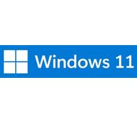 Microsoft Windows 11 Pro OEM NL - DVD
