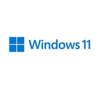 Microsoft Windows 11 Professio