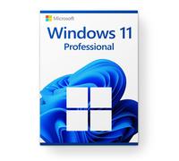 Microsoft Windows 11 Professional