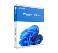 Microsoft Windows 11 Professional