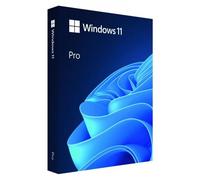Microsoft Windows 11 Professional Box Usb Pl
