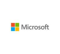 Microsoft Licence d'accès client (CAL) Windows Server 2019 - 20 licences - Anglais