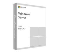 Microsoft Windows Server 2022 - 1 User CAL pour