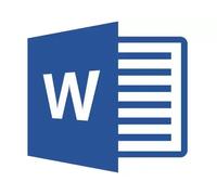 Microsoft Word LTSC 2021 pour entreprises - Autres Logiciels Microsoft TPE/PME