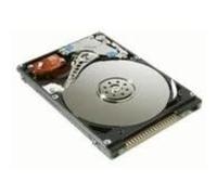 Disque dur interne Microstorage - disque dur - 40 Go - IDE