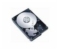 MicroStorage 600 Go 15000 TR/Min 3,5" SAS