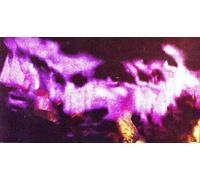 Midnight Juggernaughts - Shadows [Vinyl Single]