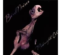 Midnight Oil – Bird Noises – 1980