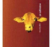 Midnight Oil - Capricornia