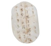 MIDOKSTUA Décoration murale en résine en forme de coquillage de tortue avec oracle chinois ancien pour décoration d'intérieur