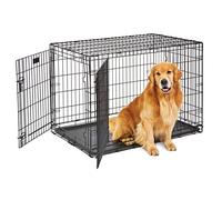 MidWest Homes for Pets 1642DDU Cage Life Stages pliante pour chien, modèle amélioré de grande taille à double porte en métal de 107 cm, noir