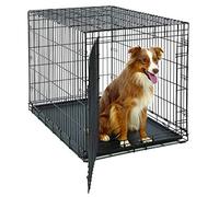 MidWest Homes for Pets 1642U Cage Life Stages pliante pour chien, modèle amélioré de grande taille à une porte en métal de 106,68 cm, noir
