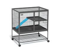 MidWest Homes for Pets Modèle 181 Cage pour Petits Animaux Deluxe Ferret Nation, Dimensions montée 91,44 x 60,96 cm (L x l), Gris Quartz
