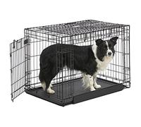 MidWest Homes for Pets Modèle 1936DD Cage Ovation pliante pour chien, taille moyenne à double porte en métal de 91,44 cm, noir