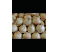 Midwestern Comfort Food: Traditional Recipes from the Heartland