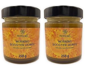 Miel, gelee royale fraîche et pollen x 250 grammes. Morning booster, Propolis le meilleur bio-stimulateur pour le corps. Dynamisant et revitalisant des forces vitales du corps. (Lot de 2)