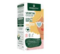 Miel Végétal Herbatint 100g