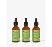 Mielle Lot de 3 huiles de croissance au romarin et à la menthe