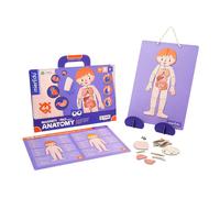 Mieredu Mallette Magnétique D´anatomie