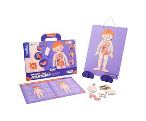 Mieredu Mallette Magnétique D´anatomie