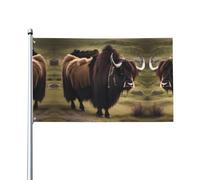 Mighty Highland Yak Prints Drapeaux décoratifs d'extérieur de 0,9 x 1,5 m, légers et beaux, adaptés pour les terrasses en plein air et les célébrations de festivals.