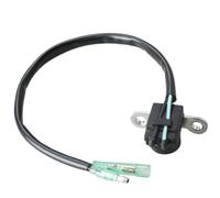 MIGHTY SCAPERS Partie de Remplacement de Charbon pour Marine 2 Stroke Outboard Motor Repair Compatible avec 9.9HP 15HP 6B4-85580-00